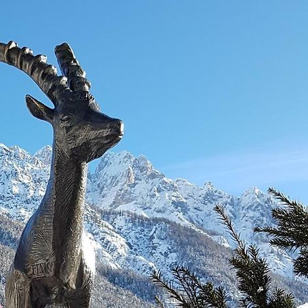 Nigritella Apartman Kranjska Gora Kültér fotó