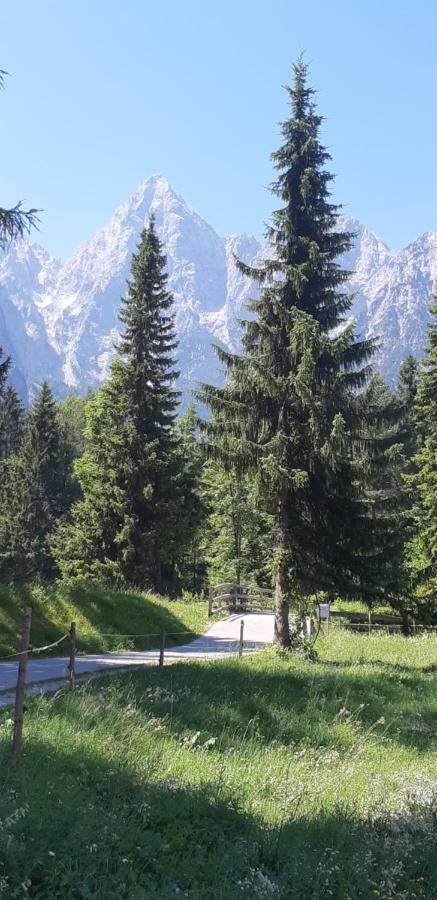 Nigritella Apartman Kranjska Gora Kültér fotó
